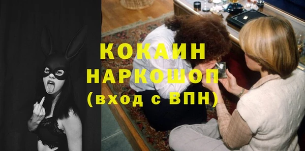 МДПВ Богородск