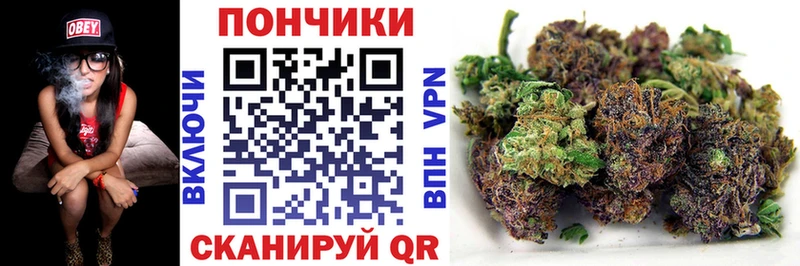 что такое наркотик  Кстово  Бошки марихуана план 